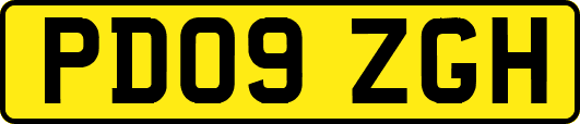 PD09ZGH