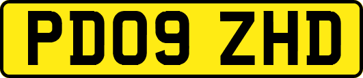 PD09ZHD