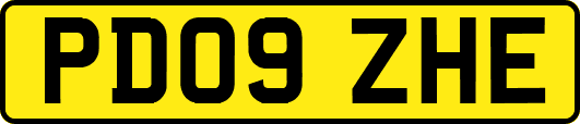 PD09ZHE