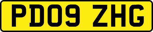 PD09ZHG
