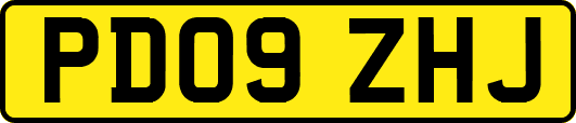 PD09ZHJ