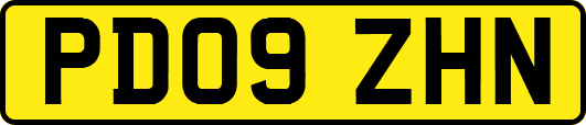 PD09ZHN