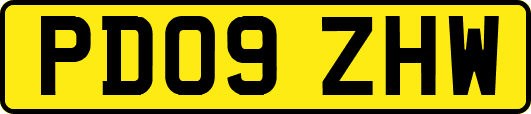 PD09ZHW