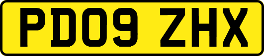 PD09ZHX