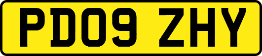 PD09ZHY