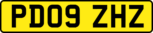 PD09ZHZ