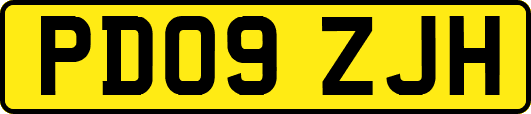 PD09ZJH
