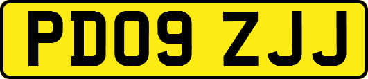 PD09ZJJ