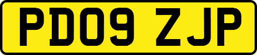 PD09ZJP