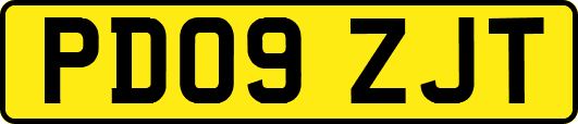 PD09ZJT