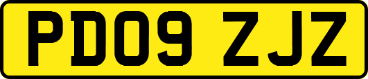 PD09ZJZ