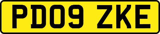PD09ZKE