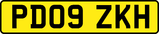 PD09ZKH