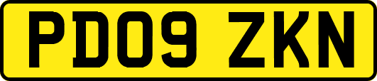 PD09ZKN
