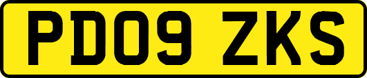 PD09ZKS