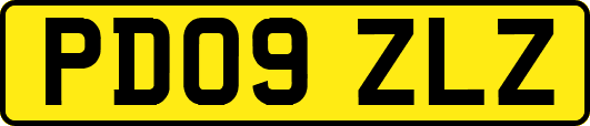 PD09ZLZ