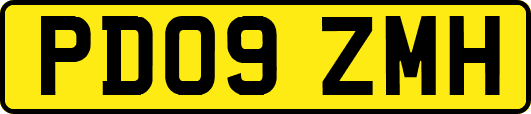 PD09ZMH