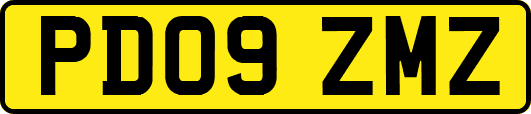 PD09ZMZ
