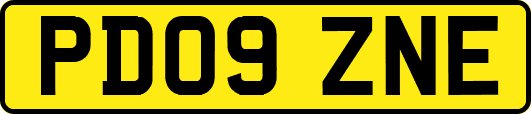 PD09ZNE