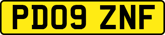 PD09ZNF