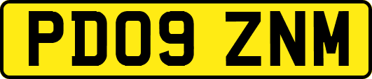 PD09ZNM