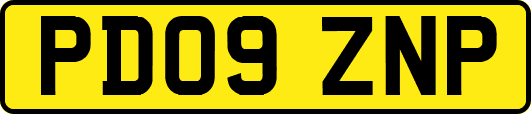 PD09ZNP