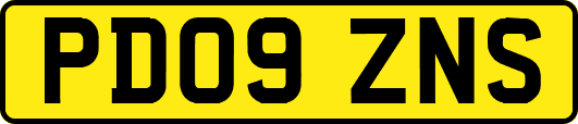 PD09ZNS