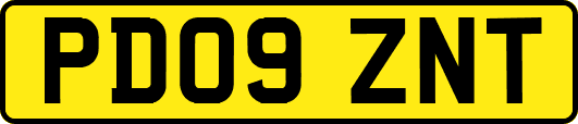 PD09ZNT