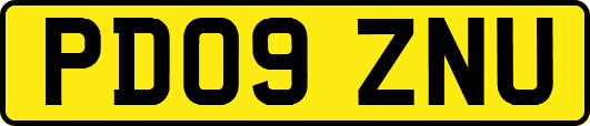 PD09ZNU