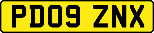 PD09ZNX