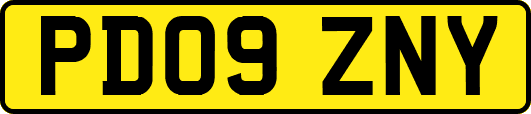 PD09ZNY