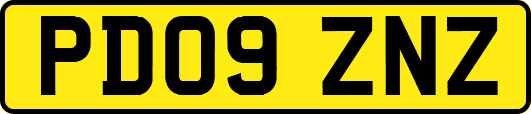 PD09ZNZ