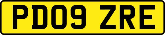 PD09ZRE