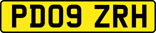 PD09ZRH