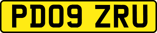 PD09ZRU