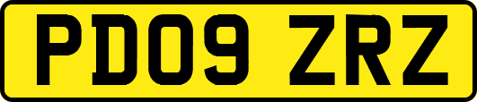PD09ZRZ