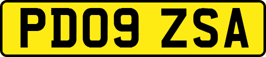 PD09ZSA