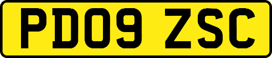 PD09ZSC