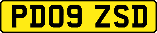 PD09ZSD