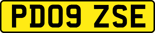 PD09ZSE