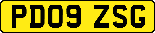 PD09ZSG