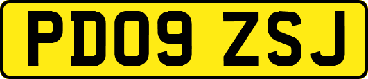 PD09ZSJ