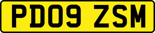 PD09ZSM