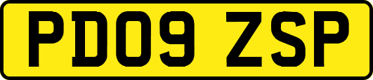 PD09ZSP