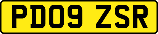 PD09ZSR