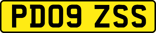 PD09ZSS