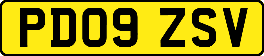 PD09ZSV