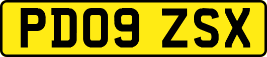 PD09ZSX