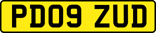 PD09ZUD