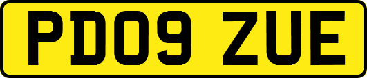 PD09ZUE